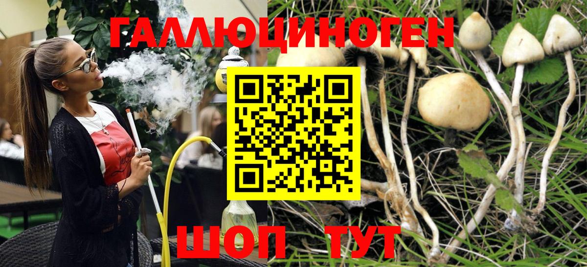 Галлюциногенные грибы Magic Shrooms  где купить наркотик  Семилуки  Вход с VPN 