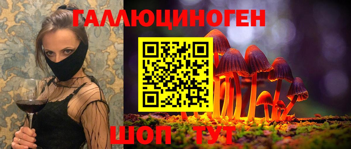 Галлюциногенные грибы Psilocybe Семилуки